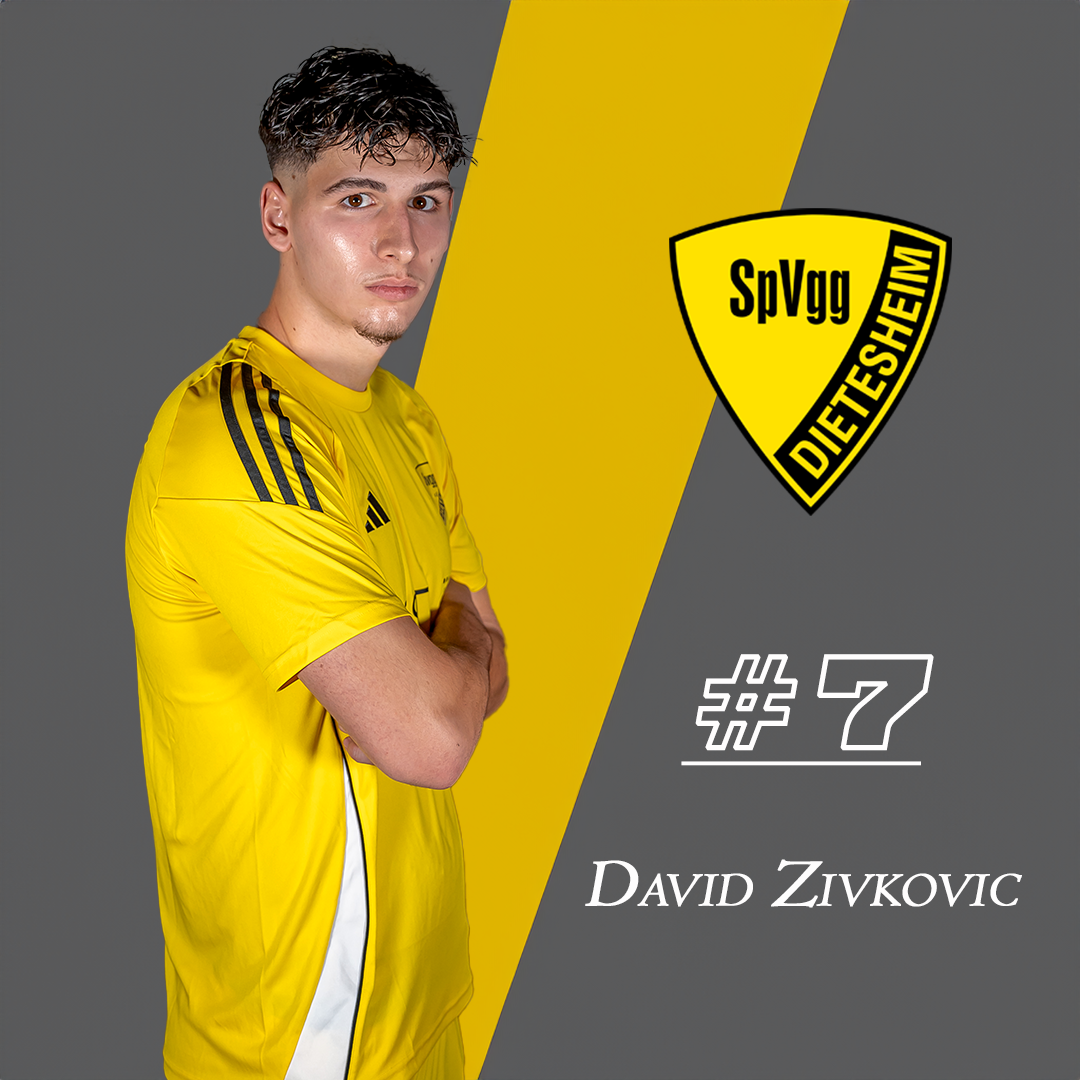 David Zivkovic